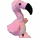 Felipe Flamingo